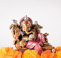 Idols & Murti Collection